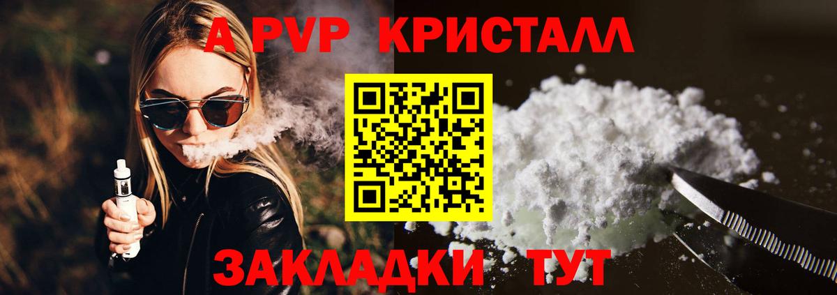 A PVP СК Саратов