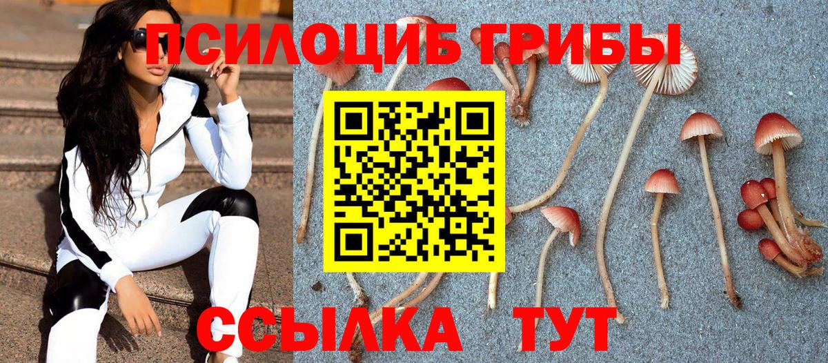 Псилоцибиновые грибы MAGIC MUSHROOMS Саратов